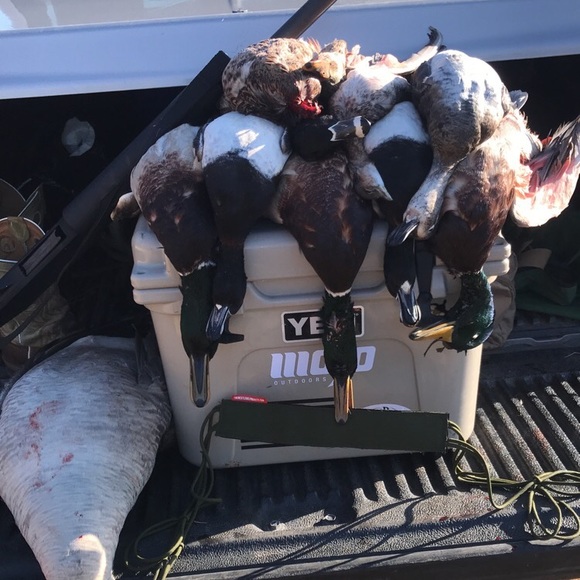 Profile Picture of Nick Sager (@nicksager) on Poshmark