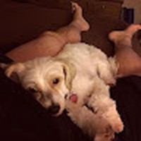 Profile Picture of Jeff Brownlee (@jeff-brownlee-12) on Quora