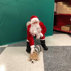 Profile Picture of Julianne McGrath (@JulianneMcGrat1) on Twitter