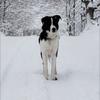 Profile Picture of Nancy Kuebler (@nkuebler) on Tiktok