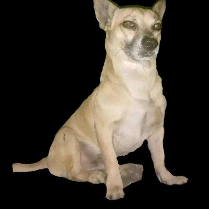 Profile Picture of BARBON YT (@barbonyt1) on Tiktok