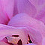 María José Barrios Rolanía - Flickr Profile Picture of María José Barrios Rolanía (@mariajosé barrios) on Flickr