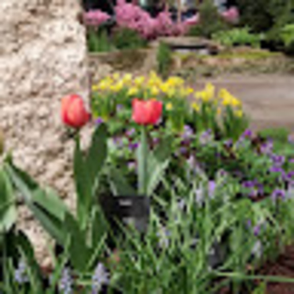 Profile Picture of K Casazza (@kccasazza64) on Poshmark