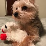 Profile Picture of Tami Ritter (@tami.ritter.12) on Instagram