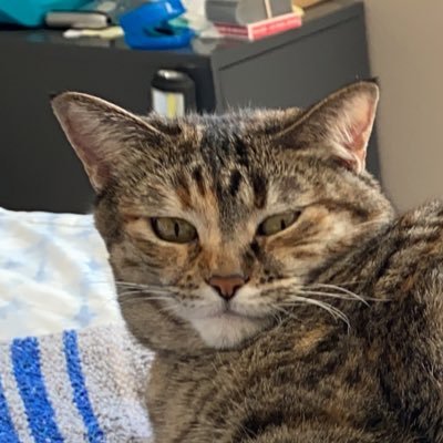 Profile Picture of Adam B.omb (@BVilivusonline) on Twitter