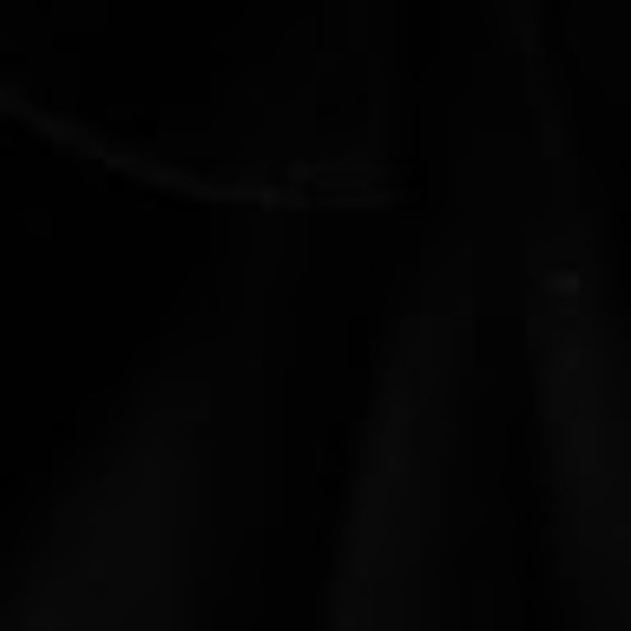 Profile Picture of Max Bahramipour (@mbahramipour4) on Poshmark