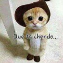 Profile Picture of Brandon Platero Salazar (@brandonplatero) on Instagram