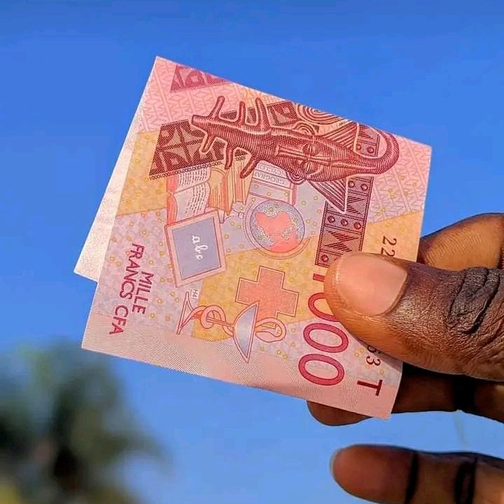 Profile Picture of Dine scott (@dinescot) on Tiktok