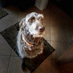 Profile Picture of Jack Steitz (@jacksteitz) on Instagram