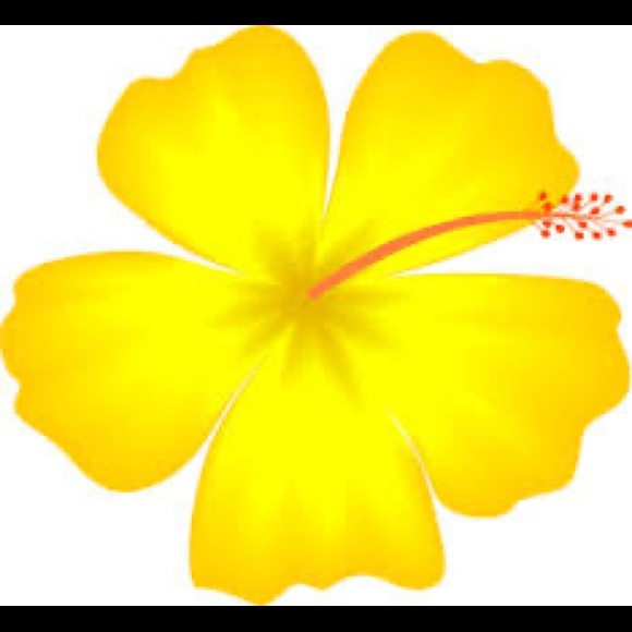 Profile Picture of Lehua Ishikawa (@jen_ishikawa) on Poshmark