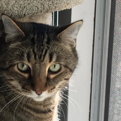 Profile Picture of Gary Reiter (@gary_gsr) on Twitter