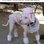 Profile Picture of Jerry Mcnichol (@jerry.mcnichol.92) on Facebook