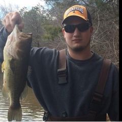 Profile Picture of James Rizzo (@@theriz74) on Tiktok