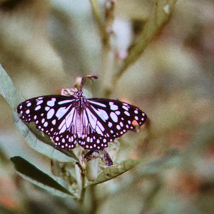 Profile Picture of cassandram (@cassandraman) on Tiktok