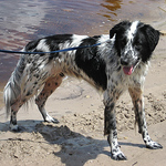 Profile Picture of Jake And Sam (@jake and sam) on Flickr