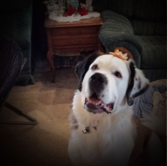 Profile Picture of Travis Schwarz (@tmanschwarz) on Poshmark