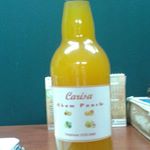 Profile Picture of Carisa Rhum Punch (@ralphrivette) on Instagram