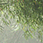 Profile Picture of Sharon Stratton (@sharon grove stratton) on Flickr