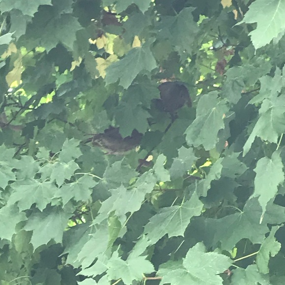 Profile Picture of John Mungai (@johnmungai) on Poshmark