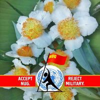 Profile Picture of Cindy Cho (@cindy-cho-29) on Quora