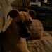 Profile Picture of Scott Huls (@scott.huls.52) on Facebook