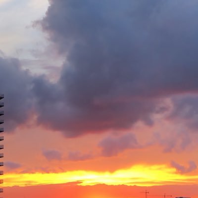 Profile Picture of Kelly-Eleanor Coldwell (@kelly_coldwell) on Twitter