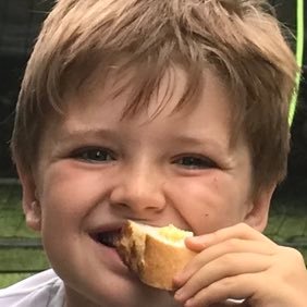 Profile Picture of Max Lang (@maxjervislang) on Twitter
