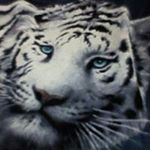 Profile Picture of Tina Pfeffer (@pfeffertina) on Instagram