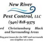 Profile Picture of Aaron Gleeson (@aarong1973) on Instagram