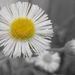 Profile Picture of Claudia Pearson (@clpearson01) on Pinterest