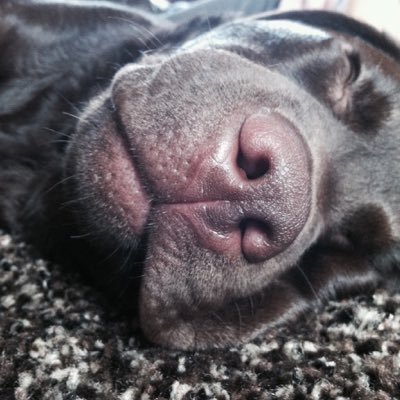 Profile Picture of Julie Duncan-Gilliam (@@julieDG4) on Twitter