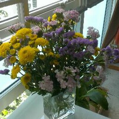 Anita Cheng - Twitter Profile Picture of Anita Cheng (@Anita168cheng) on Twitter