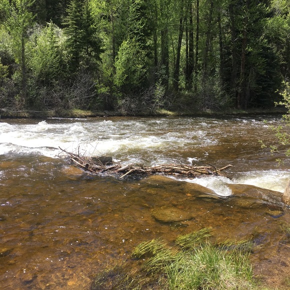 Alexus Oneal - Poshmark Profile Picture of Alexus Oneal (@lexi_oneal20) on Poshmark