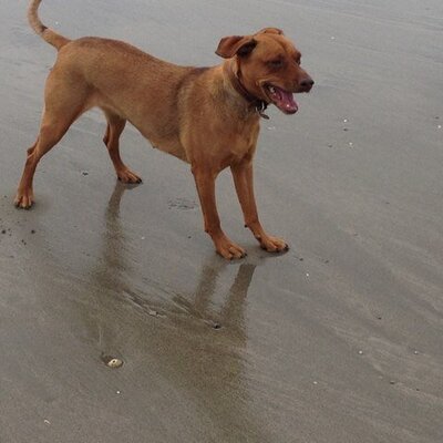 Profile Picture of Gavin Allan (@vinmachine1) on Twitter