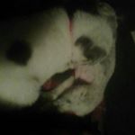 Profile Picture of kevin karrer 2 (@kevinkarrer2) on Instagram