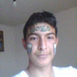 Profile Picture of Mario Aldape (@marioaldape3) on Twitter