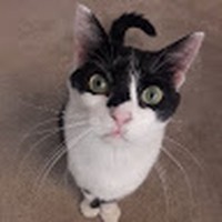 Profile Picture of Monica Camp (@monica-camp-4) on Quora