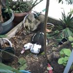 Profile Picture of antoniomichetti05 (@antoniomichetti05) on Instagram