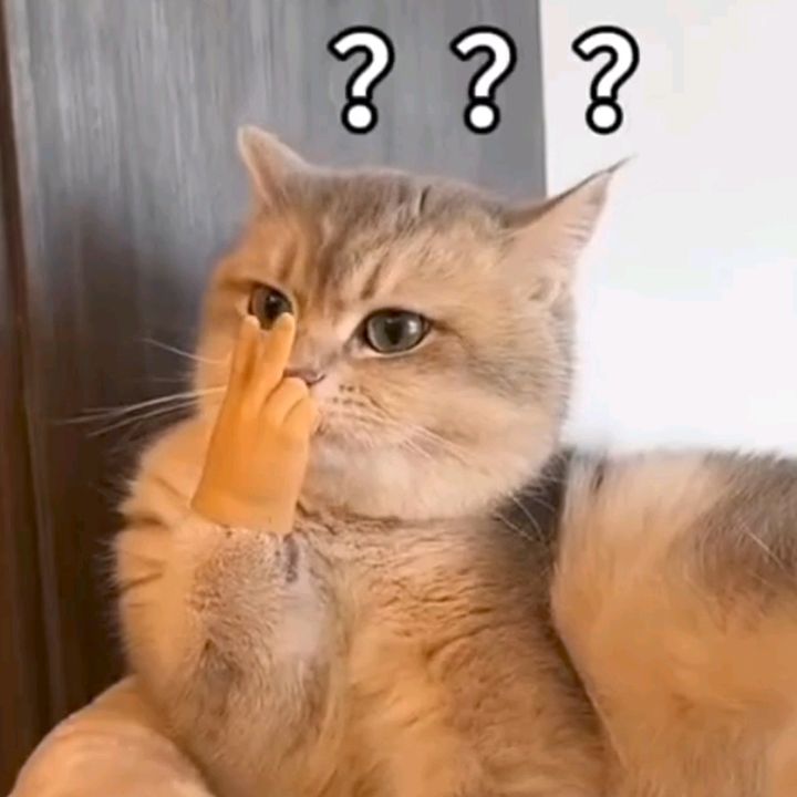 Bobo - Tiktok Profile Picture of Bobo (@bobo__602) on Tiktok