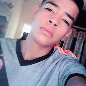 Profile Picture of David Robles (@DavidRo92786949) on Twitter