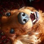 Profile Picture of Max Massey (@massey_2005) on Instagram