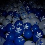 Profile Picture of barry (@klaver1234frl) on Instagram