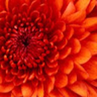 Profile Picture of Henry Quick (@henry-quick-6) on Quora