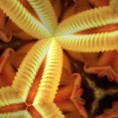 Profile Picture of Dawn Schauer (@dawn_schauer) on Twitter