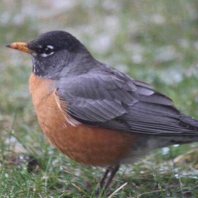 Profile Picture of Tan Vinh Tran (@vinhtantran) on Twitter