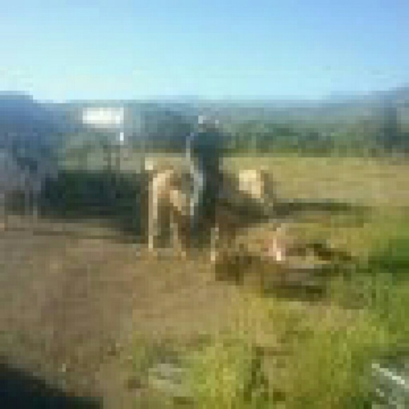 Profile Picture of Jason Gruver (@cimajay87714) on Poshmark