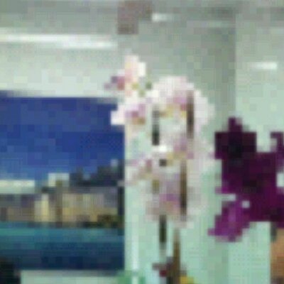 Profile Picture of Sonia Almanzar (@soniaalmanzar2) on Twitter