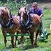 Profile Picture of Danny Henry (@danny5914) on Pinterest