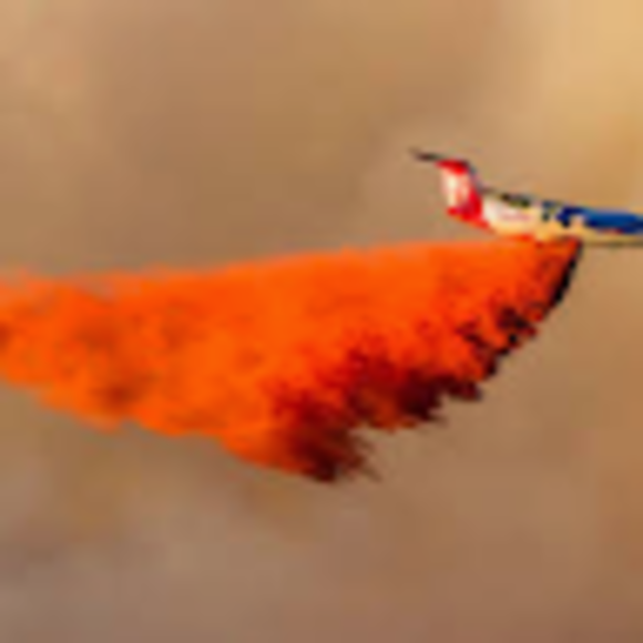 Profile Picture of Robert Potter (@robertpotter556) on Poshmark