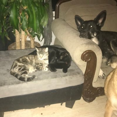 Profile Picture of Damien Schmitt (@damienschmitt6) on Twitter